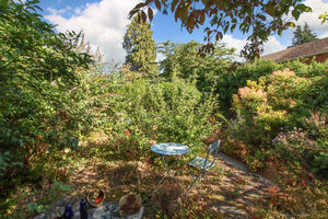 Photo 3- click for photo gallery
